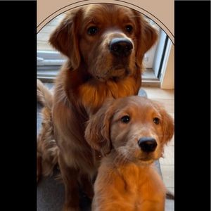 Meet your Posher, Meg